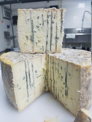 Alcune parti molto buone, altre ancora hanno muffe morte e lieviti indesiderati. / gorgo 3.jpg gorgo 3.jpg