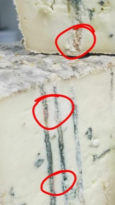 Dettaglio dell'ultima forma. Lieviti e muffe morte. / gorgo 4.jpg gorgo 4.jpg