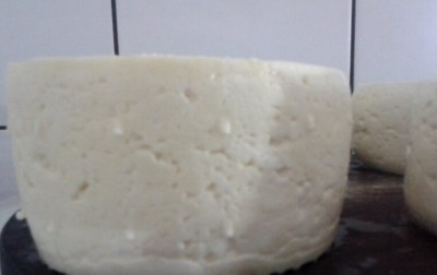 fontina.jpg