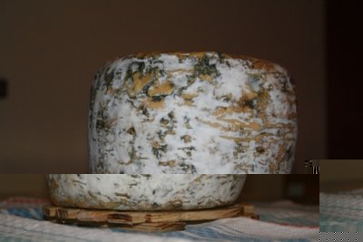 il mio grozola / IMG_0570.JPG IMG_0570.JPG