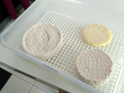 Qui secondo primo sale e seconda toma partite. 2 settimane di stagionatura: si inizia a vedere la fioritura del candidum / IMG_20200509_120823_HDR.jpg IMG_20200509_120823_HDR.jpg