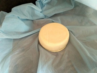 Dopo la pressatura / IMG_20200531_094629_HDR.jpg IMG_20200531_094629_HDR.jpg