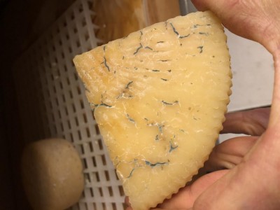 IMG_6310.JPG (56.3 KiB) Osservato 1295 volte IMG_6310.JPG