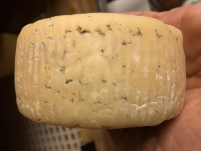 Formaggio 5 settimane / IMG_6307.JPG IMG_6307.JPG