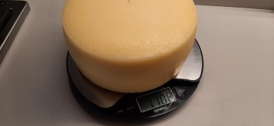 29_Pesata dopo 30 giorni di stagionatura.jpg (23.91 KiB) Osservato 673 volte 29_Pesata dopo 30 giorni di stagionatura.jpg