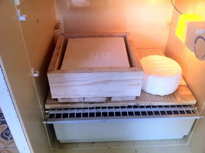 resized_aperto.jpg (338.15 KiB) Osservato 1175 volte resized_aperto.jpg