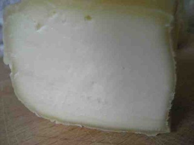 Esperimento Italico naufragato in formaggino? / italico.jpg italico.jpg