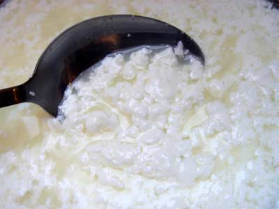 finalcurds.jpg finalcurds.jpg