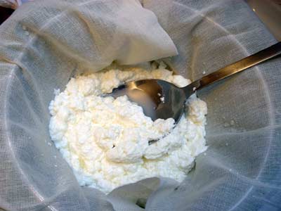 curdsincloth.jpg curdsincloth.jpg