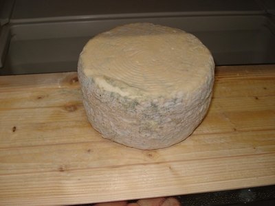 gorgonzola / DSC04690.jpg DSC04690.jpg