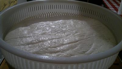 forma in fuscella.JPG forma in fuscella.JPG