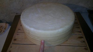 forma pronta.JPG (27.33 KiB) Osservato 7104 volte forma pronta.JPG