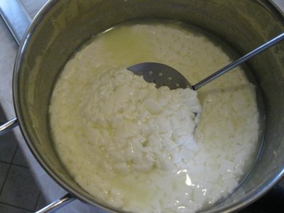 nocciole? / IMG_5451_640x480.jpg IMG_5451_640x480.jpg