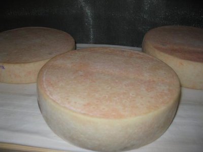 uno dei fratelli del 10 gennaio / IMG_5503_640x480.jpg IMG_5503_640x480.jpg