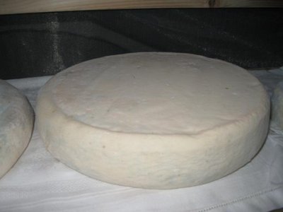 del 3 gennaio / IMG_5506_640x480.jpg IMG_5506_640x480.jpg