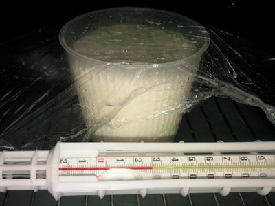 Stufatura in forno sotto la pellicola / Foto023.jpg Foto023.jpg