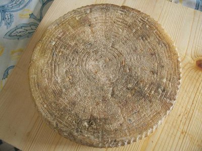 formaggio2.JPG (77.08 KiB) Osservato 1493 volte formaggio2.JPG