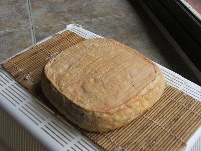 tal931.jpg (73.57 KiB) Osservato 1054 volte tal931.jpg