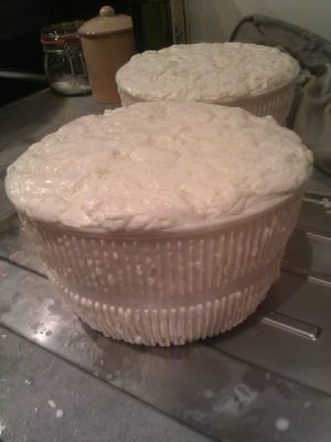 Messa in fuscella della cagliata. / Cagliata nella fuscella.jpg Cagliata nella fuscella.jpg