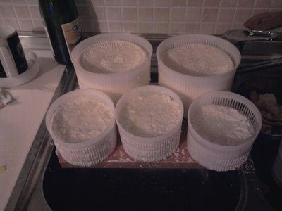 Il risultato: 2 formaggi da 1,4 kg l'uno e 3 ricotte da 0,4 kg circa. / Foto1514.jpg Foto1514.jpg