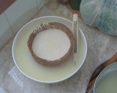 forma nel siero / formaggio1.jpg formaggio1.jpg