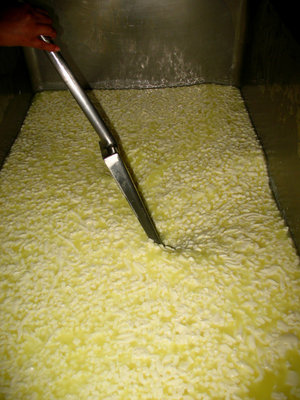 MESCOLAMENTO CAGLIATA.jpg (168.53 KiB) Osservato 4945 volte MESCOLAMENTO CAGLIATA.jpg