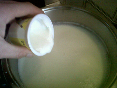 Aggiunta yogurt. / 10c.jpg 10c.jpg
