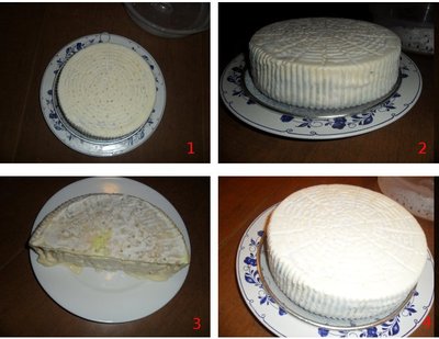 Gorgo_1.jpg (80.96 KiB) Osservato 1133 volte Gorgo_1.jpg