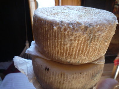 P1250376.JPG (102.51 KiB) Osservato 1504 volte P1250376.JPG