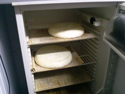 I dischi volanti... provo a lanciarli? / 03.jpg 03.jpg