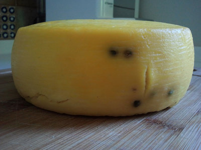 ecco le crepe che mi preoccupavano.. iniziavano a crescere a vista d'occhio / 2013-05-26 10.23.23.jpg 2013-05-26 10.23.23.jpg