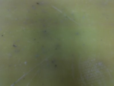 scusate la qualita' fatte con il cell. / 16-06-13_1617.jpg 16-06-13_1617.jpg