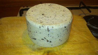 A fine salatura / tartufo3.jpg tartufo3.jpg