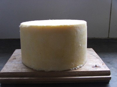 Il secondo cheddar / DSCF1185.25.jpg DSCF1185.25.jpg