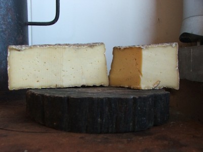 Il primo Cheddar / DSCF1201.25.jpg DSCF1201.25.jpg