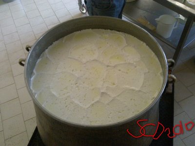 260520102031.jpg (132.71 KiB) Osservato 1712 volte 260520102031.jpg