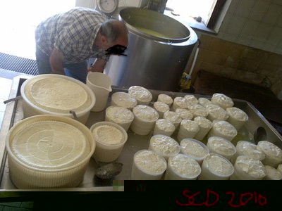 260520102039.jpg (152.23 KiB) Osservato 1712 volte 260520102039.jpg