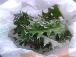 Listener.jpg Listener.jpg