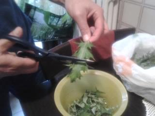 Listener (2).jpg Listener (2).jpg