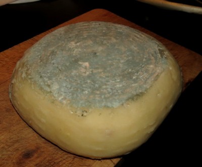 imperatore_agosto2014 (3).JPG (63.48 KiB) Osservato 894 volte imperatore_agosto2014 (3).JPG