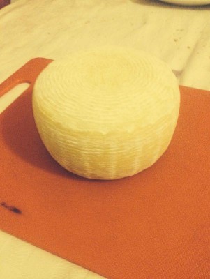 Listener.jpg (53.25 KiB) Osservato 1764 volte Listener.jpg