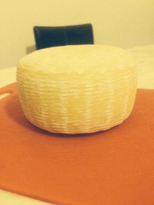 Listener (1).jpg (51.3 KiB) Osservato 1764 volte Listener (1).jpg