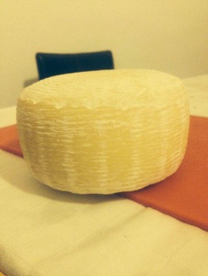 Listener (2).jpg (45.78 KiB) Osservato 1764 volte Listener (2).jpg