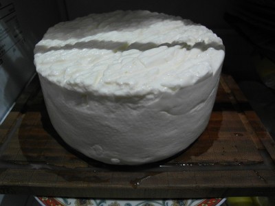 Rotondoleggio dopo salamoia.JPG (110.38 KiB) Osservato 941 volte Rotondoleggio dopo salamoia.JPG