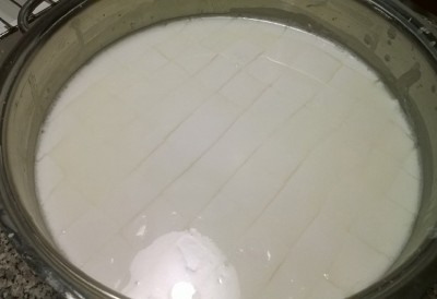 PRIMO TAGLIO / 01.jpg 01.jpg