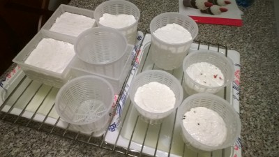 03.jpg (235.94 KiB) Osservato 1218 volte 03.jpg