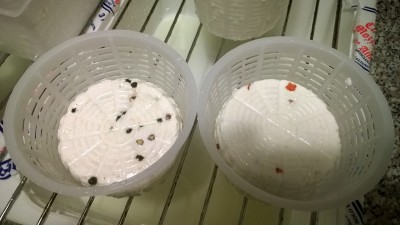 04.jpg (220.74 KiB) Osservato 1134 volte 04.jpg