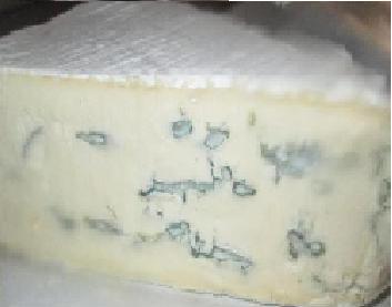 cambosana.JPG cambosana.JPG