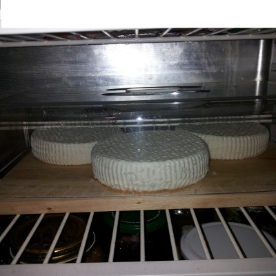 2015-02-02%2020_51_35.jpg 2015-02-02%2020_51_35.jpg