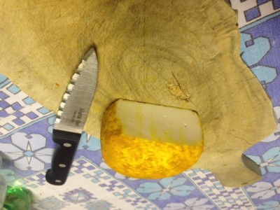 Curcuma / foto 2.JPG foto 2.JPG